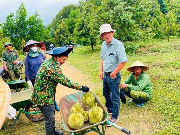 Loại quả 'bán giá nào cũng lãi' quá hot, bầu Đức sắp tăng gấp đôi diện tích trồng, dự kiến bội thu hàng nghìn tỷ đồng- Ảnh 1.