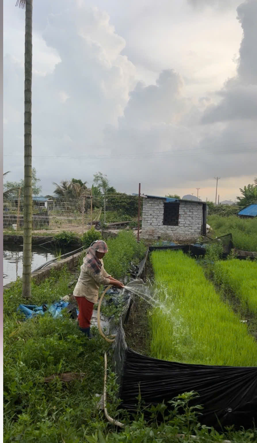 Quay cảnh mẹ và 1 chấm sáng giữa cánh đồng lúc trời đã tối đen, con gái bỗng rơi vào thế khó- Ảnh 4.