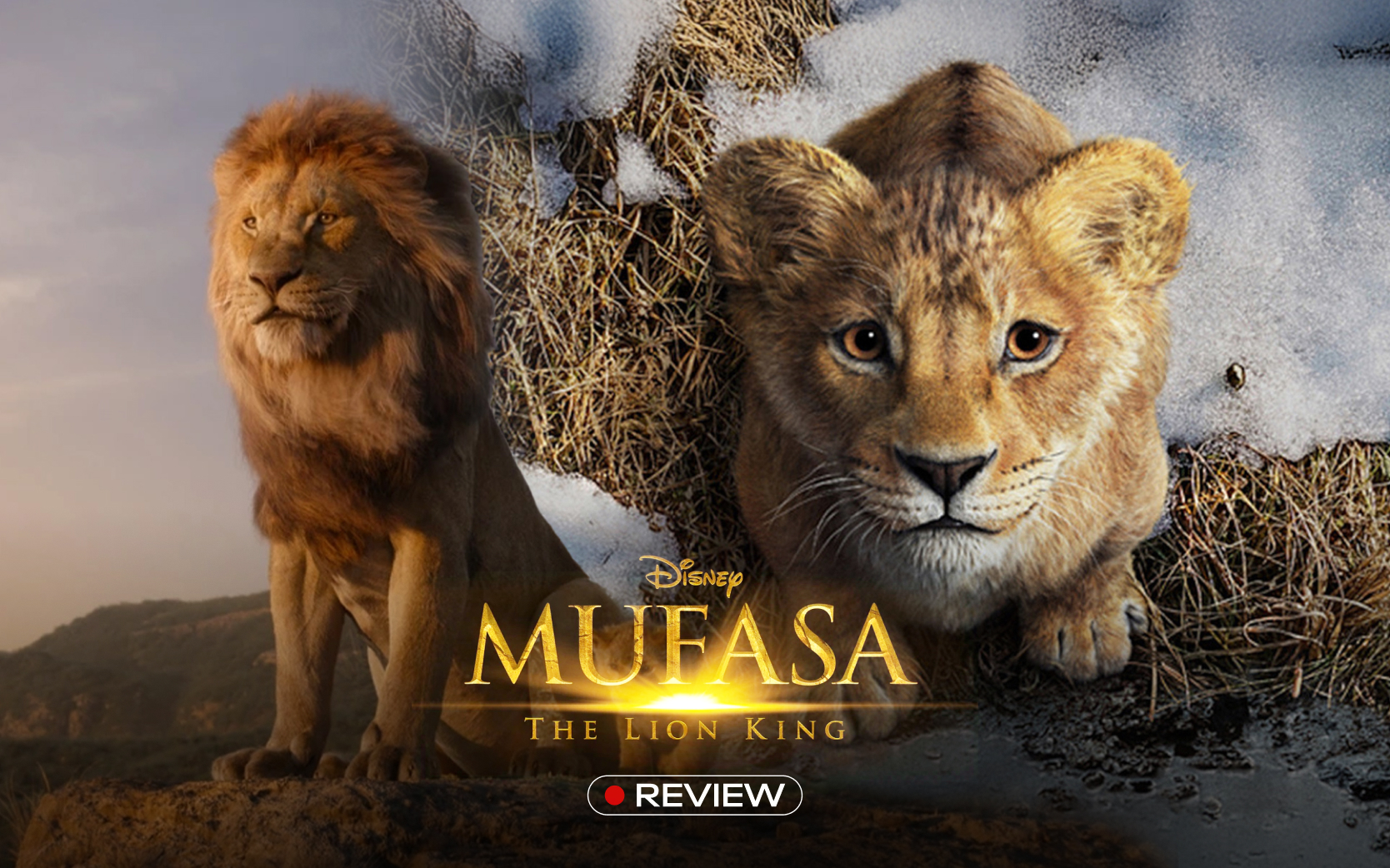 Mufasa: The Lion King - Phần tiền truyện hấp dẫn của Vua Sư Tử- Ảnh 1.