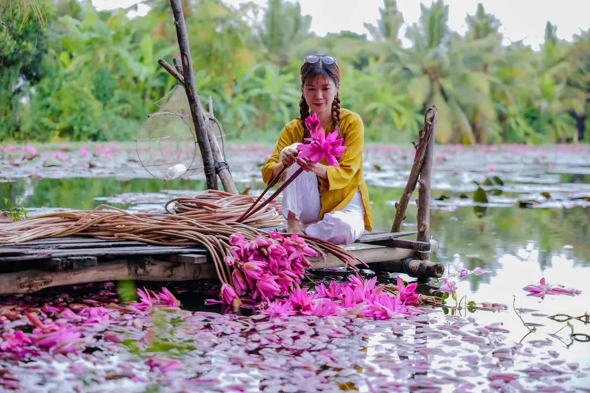 Vẻ đẹp của miền Tây Nam bộ mùa nước nổi- Ảnh 4.