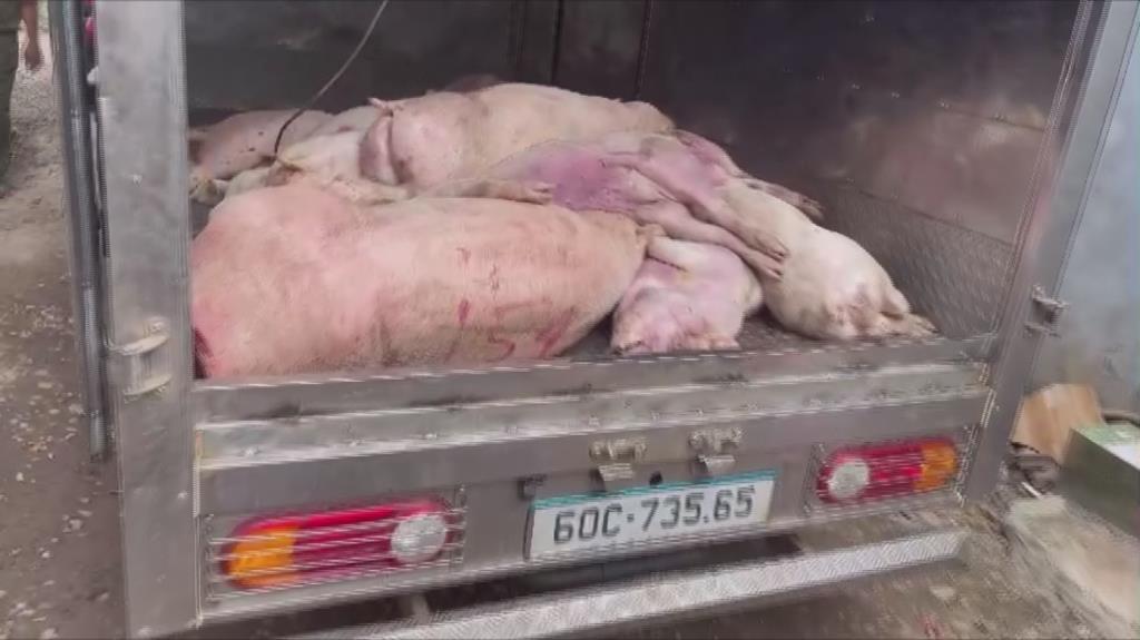 Phát hiện hình ảnh ớn lạnh bên trong 1 lò giết mổ động vật ở Đồng Nai- Ảnh 2. Phát hiện hình ảnh ớn lạnh bên trong 1 lò giết mổ động vật ở Đồng Nai- Ảnh 2.