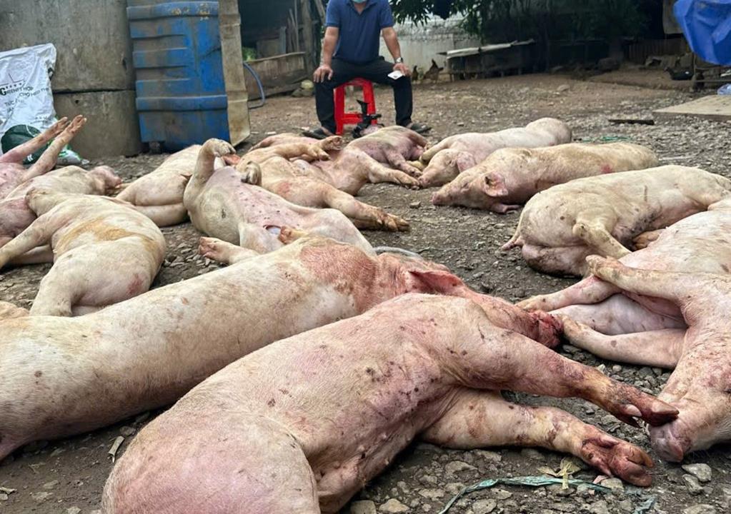 Phát hiện hình ảnh ớn lạnh bên trong 1 lò giết mổ động vật ở Đồng Nai- Ảnh 1. Phát hiện hình ảnh ớn lạnh bên trong 1 lò giết mổ động vật ở Đồng Nai- Ảnh 1.