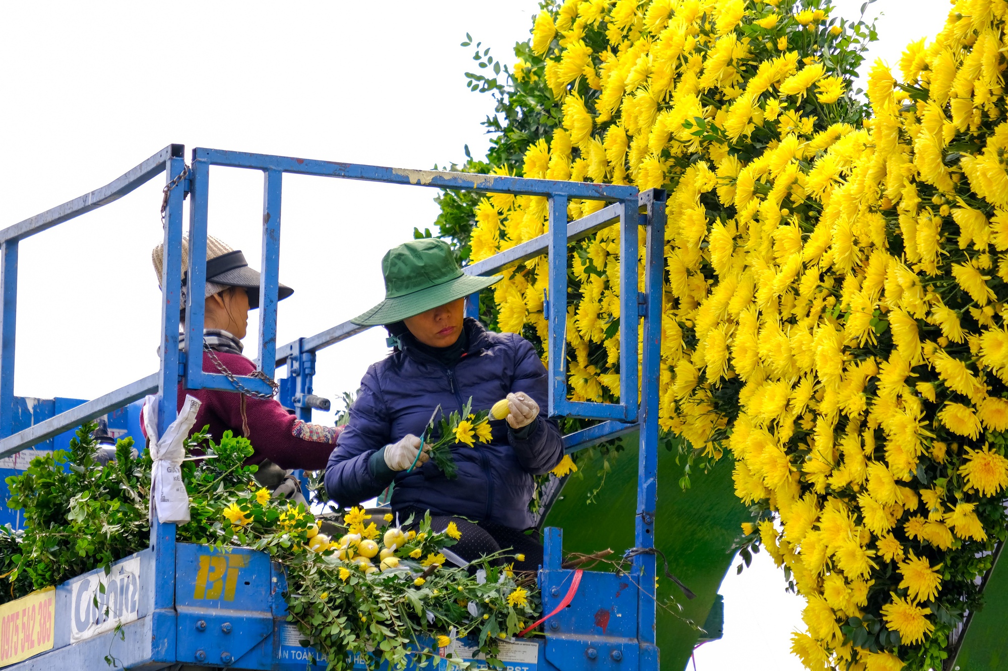 Mê Linh sẵn sàng cho lễ hội hoa lớn nhất miền Bắc- Ảnh 24.