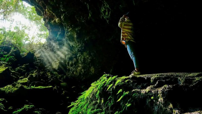 'Đột nhập' hang động núi lửa kỳ vĩ bậc nhất Đông Nam Á ở Đắk Nông- Ảnh 2. 'Đột nhập' hang động núi lửa kỳ vĩ bậc nhất Đông Nam Á ở Đắk Nông- Ảnh 2.