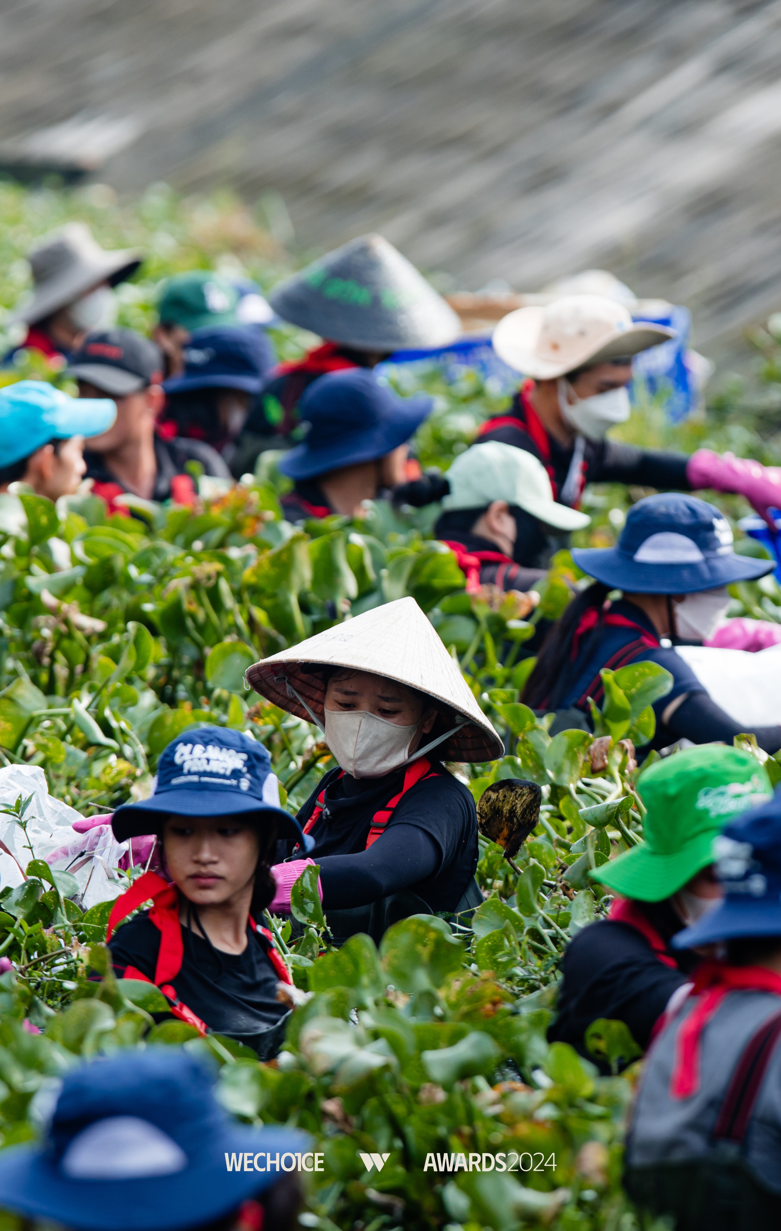 Sài Gòn Xanh - Những người trẻ đồng lòng đi dọn rác: “Một người thay đổi ý thức bằng 10, 100 lần một chiếc máy xúc rác”- Ảnh 6.