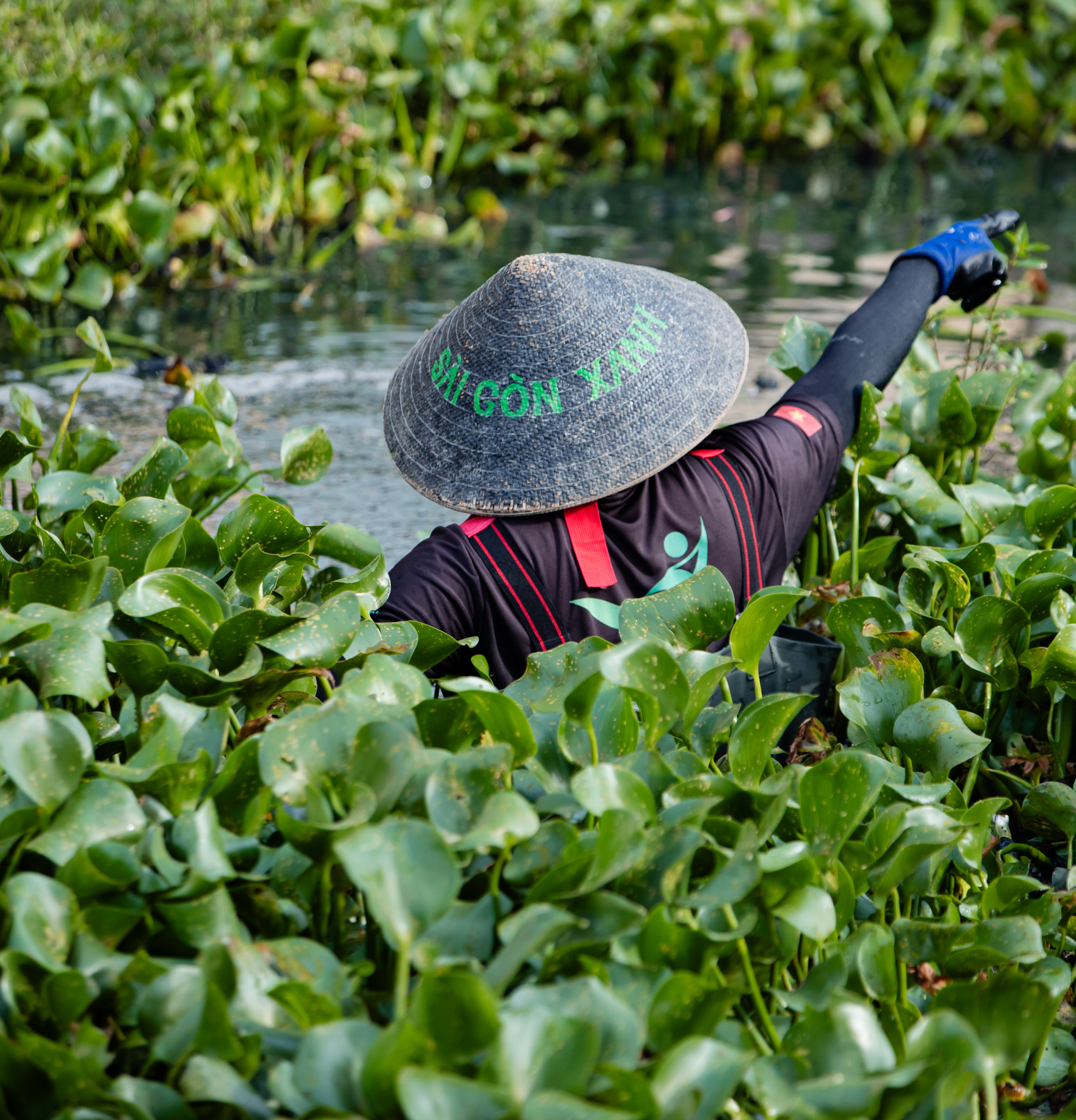 Sài Gòn Xanh - Những người trẻ đồng lòng đi dọn rác: “Một người thay đổi ý thức bằng 10, 100 lần một chiếc máy xúc rác”- Ảnh 5.