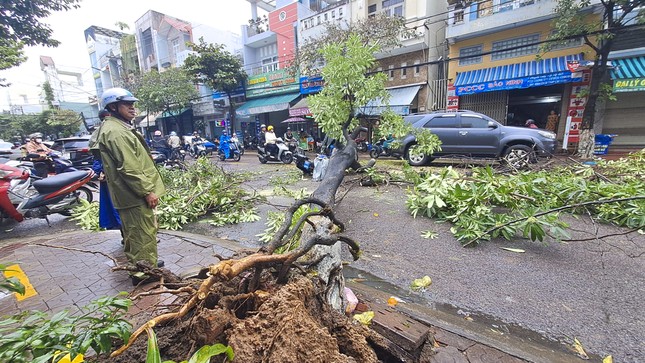 Cây xanh bật gốc đè trúng một người đi đường- Ảnh 2.