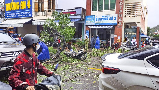 Cây xanh bật gốc đè trúng một người đi đường- Ảnh 1.