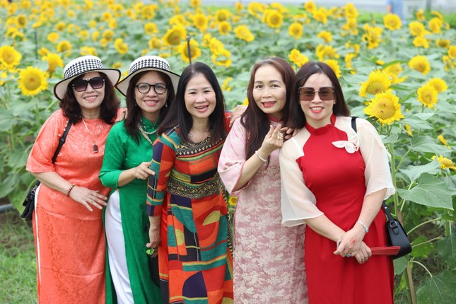 Người d&acirc;n, du kh&aacute;ch n&ocirc; nức check-in vườn hoa hướng dương lớn nhất TP.HCM- Ảnh 6.