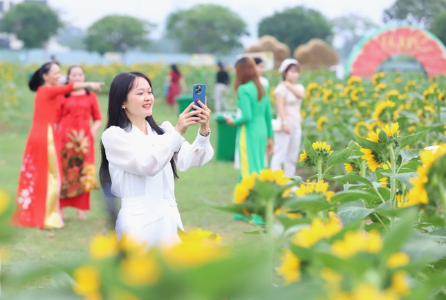 Người d&acirc;n, du kh&aacute;ch n&ocirc; nức check-in vườn hoa hướng dương lớn nhất TP.HCM- Ảnh 5.