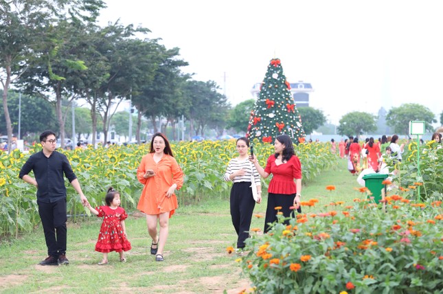 Người d&acirc;n, du kh&aacute;ch n&ocirc; nức check-in vườn hoa hướng dương lớn nhất TP.HCM- Ảnh 1.