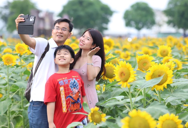 Người d&acirc;n, du kh&aacute;ch n&ocirc; nức check-in vườn hoa hướng dương lớn nhất TP.HCM- Ảnh 14.