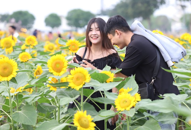 Người d&acirc;n, du kh&aacute;ch n&ocirc; nức check-in vườn hoa hướng dương lớn nhất TP.HCM- Ảnh 4.