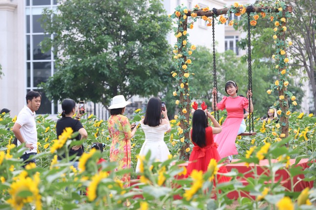 Người d&acirc;n, du kh&aacute;ch n&ocirc; nức check-in vườn hoa hướng dương lớn nhất TP.HCM- Ảnh 2.