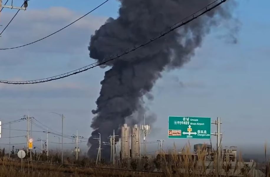 Yonhap: Nguyên nhân tai nạn máy bay ở Hàn Quốc có thể là do va chạm với chim- Ảnh 1.