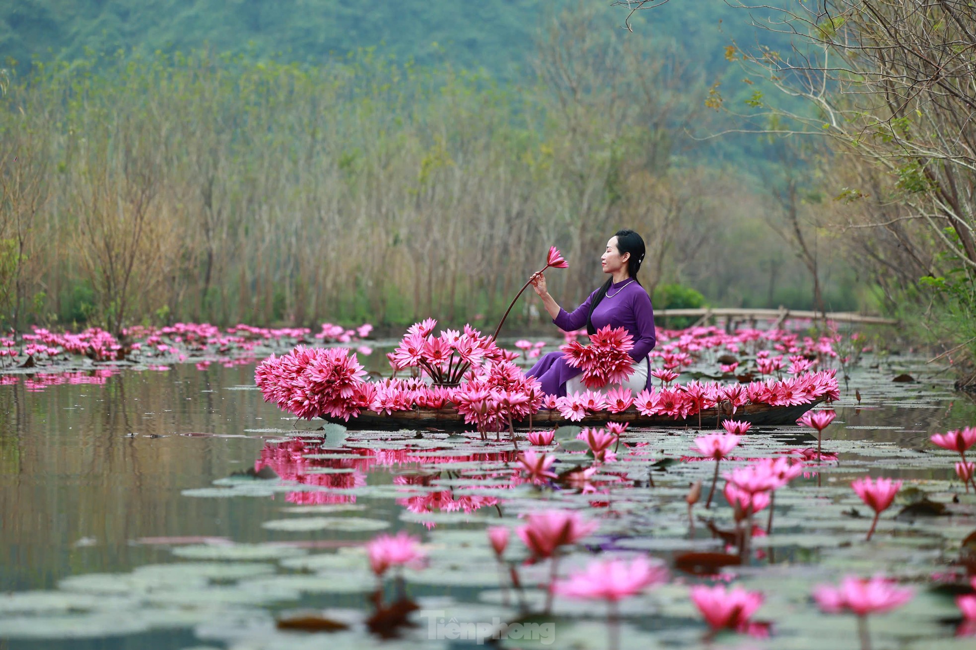 Mê mẩn những mùa hoa gây thương nhớ ở Hà Nội- Ảnh 10.