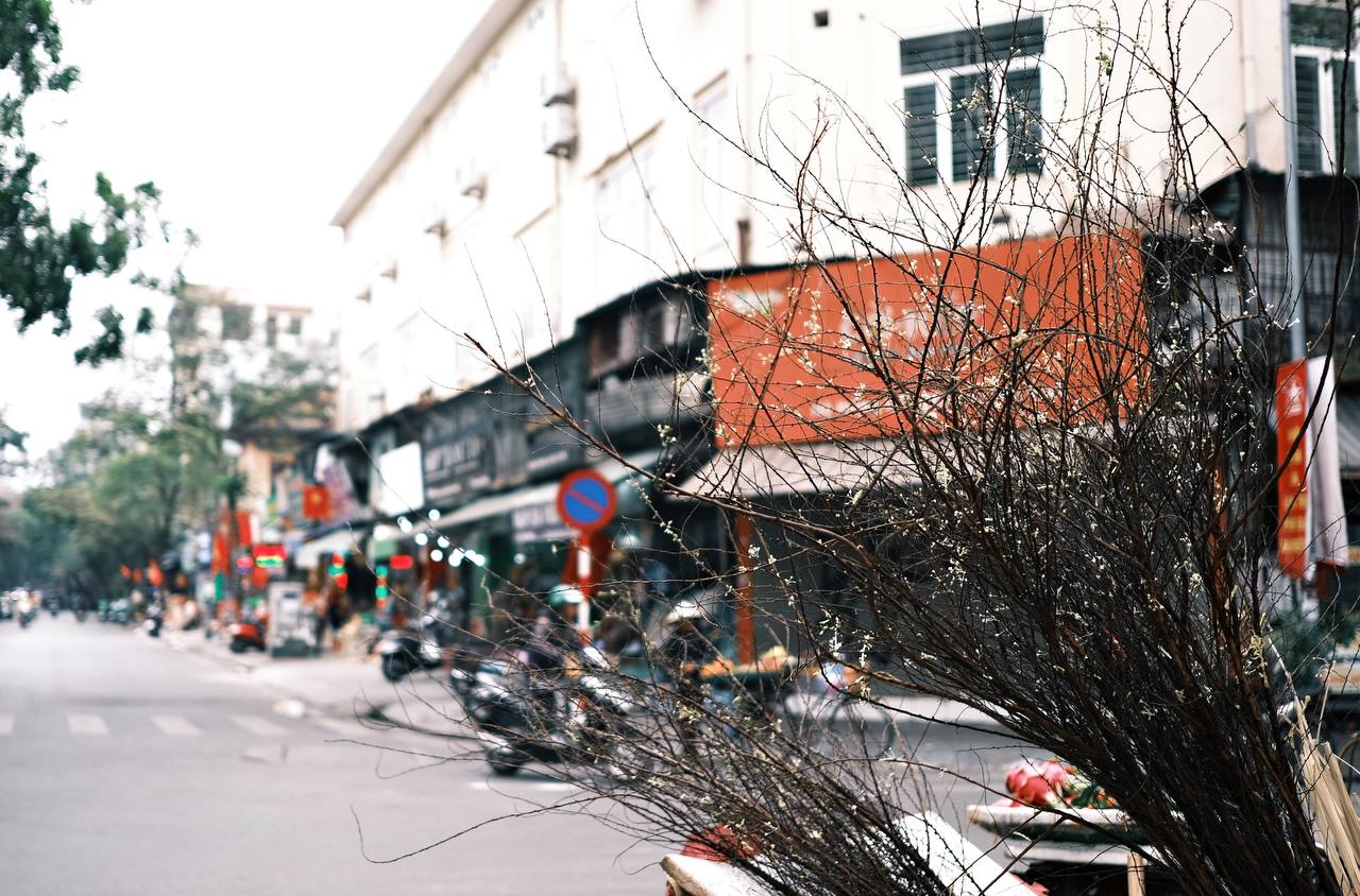 Hà Nội ngày cuối cùng của 2024: Hàng trăm 'nàng thơ' xúng xính đi chụp áo dài, phố phường nhộn nhịp ngập tràn không khí xuân- Ảnh 24.