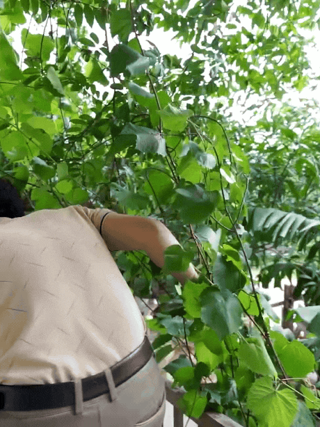 Người đàn ông Nha Trang xây