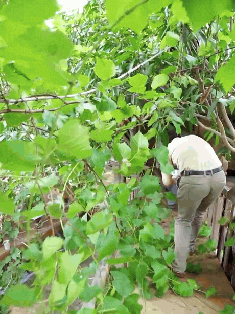 Người đàn ông Nha Trang xây