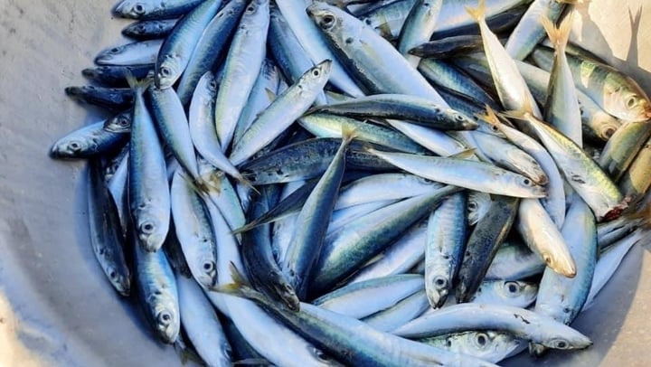 C&aacute;ch l&agrave;m c&aacute; biển kho chuối xanh cực ngon, lạ miệng- Ảnh 1.