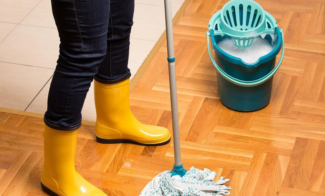 Người giúp việc có 20 năm kinh nghiệm l…