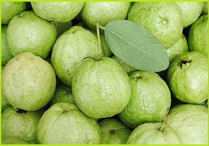 Mua ổi n&ecirc;n chọn quả sần s&ugrave;i hay trơn nhẵn?- Ảnh 1.