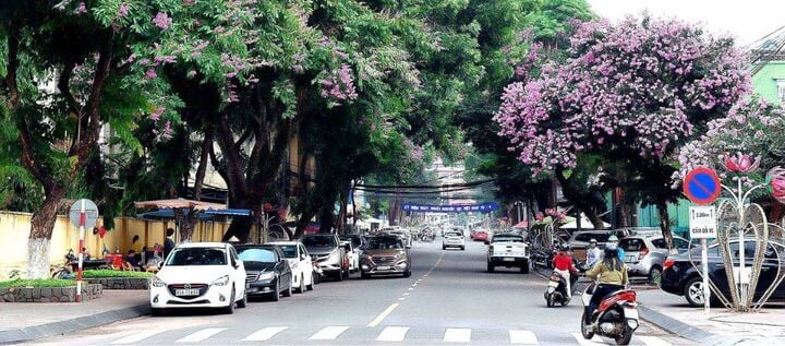 Cánh đồng điện gió ở Gia Lai có gì mà giới trẻ mê mẩn?- Ảnh 2.