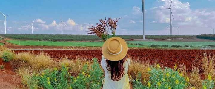 Cánh đồng điện gió ở Gia Lai có gì mà giới trẻ mê mẩn?- Ảnh 4.