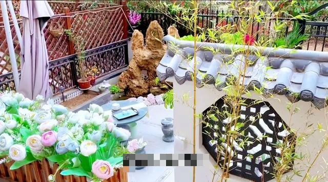 Người phụ nữ trung niên chi gần 200 triệu đồng xây khoảng sân rộng 38m2 chỉ để trồng hoa và rau- Ảnh 1. Người phụ nữ trung niên chi gần 200 triệu đồng xây khoảng sân rộng 38m2 chỉ để trồng hoa và rau- Ảnh 1.