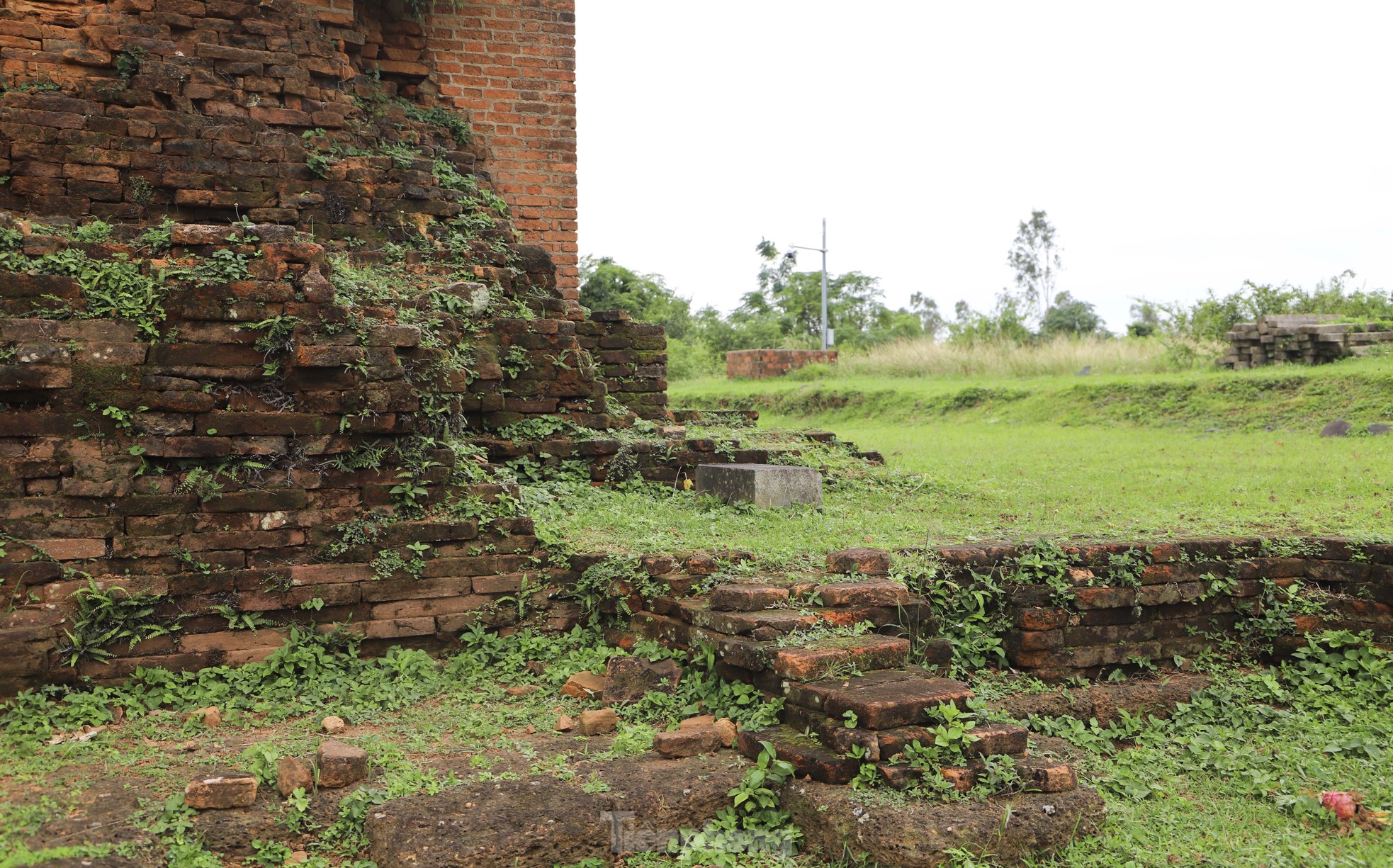 Mục sở thị cụm th&aacute;p gạch cổ cao nhất Đ&ocirc;ng Nam &Aacute; ở B&igrave;nh Định- Ảnh 16.
