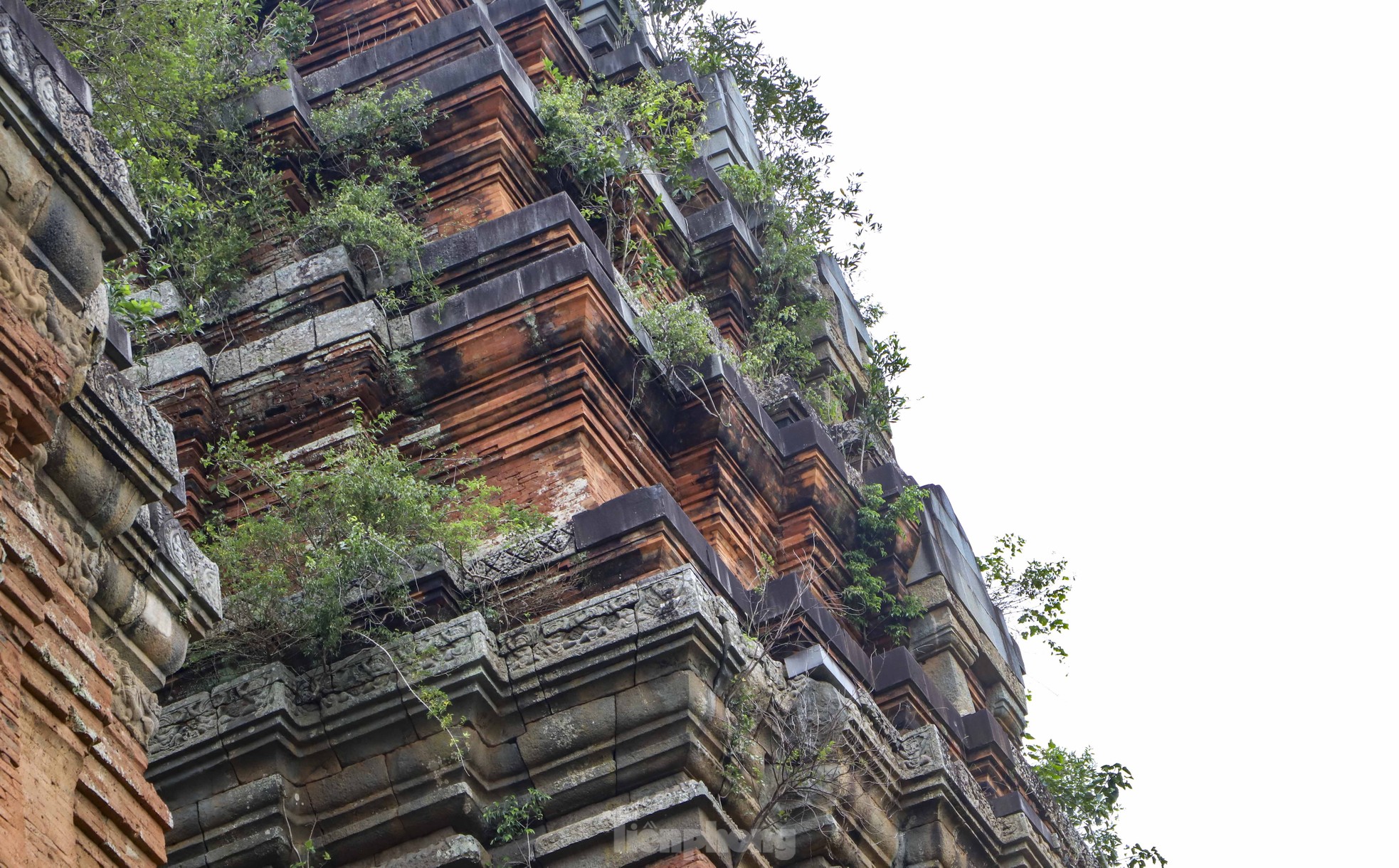 Mục sở thị cụm th&aacute;p gạch cổ cao nhất Đ&ocirc;ng Nam &Aacute; ở B&igrave;nh Định- Ảnh 6.