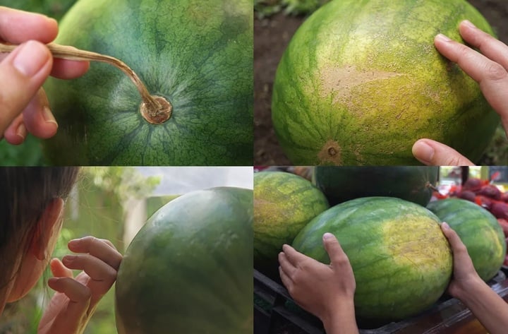 L&agrave;m sao nhận biết dưa hấu ch&iacute;n hay chưa?- Ảnh 1.