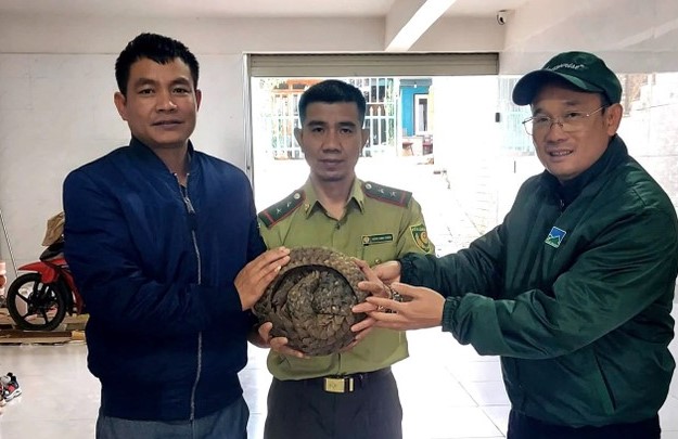 Đi tập thể dục, bất ngờ ph&aacute;t hiện con vật qu&yacute; hiếm b&ecirc;n lề đường- Ảnh 1.