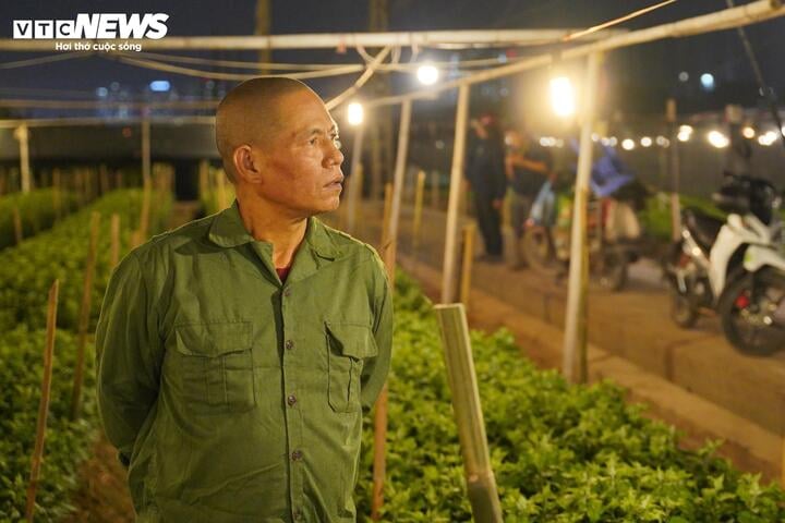 Chong đ&egrave;n xuy&ecirc;n đ&ecirc;m, bắt hoa nở tr&uacute;ng Tết: 'Thủ phủ' hoa H&agrave; Nội huyền ảo h&uacute;t mắt- Ảnh 11.