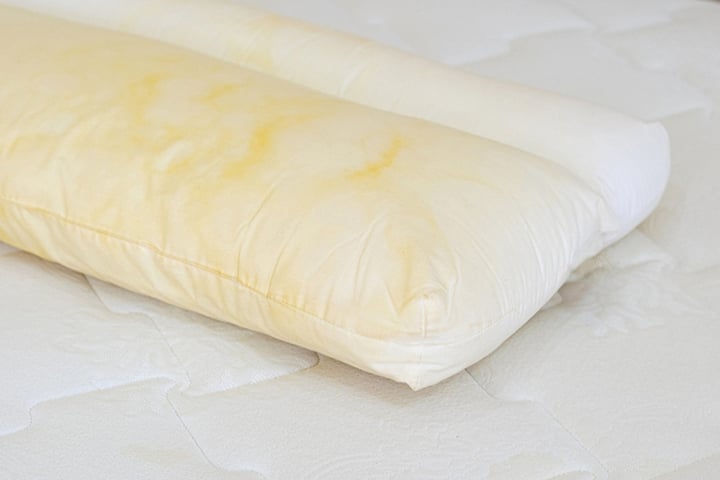 C&aacute;ch l&agrave;m sạch ruột gối bị ố v&agrave;ng- Ảnh 1.