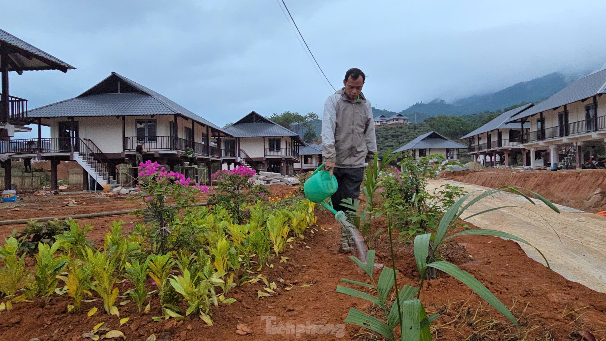 Người d&acirc;n L&agrave;ng Nủ dựng vườn, trồng hoa chuẩn bị về nh&agrave; mới- Ảnh 11.