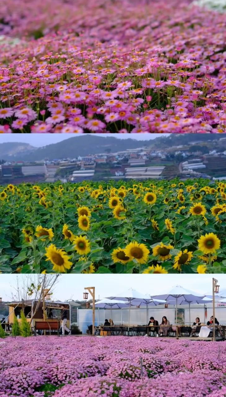 View - Lên đồ đến các điểm du lịch nổi tiếng du xuân, đừng quên check-in loạt quán cà phê mới toanh view đỉnh, sống ảo cực chất