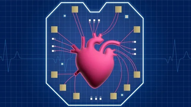 Tiết lộ mới về trái tim trong con chip - Ảnh 1.