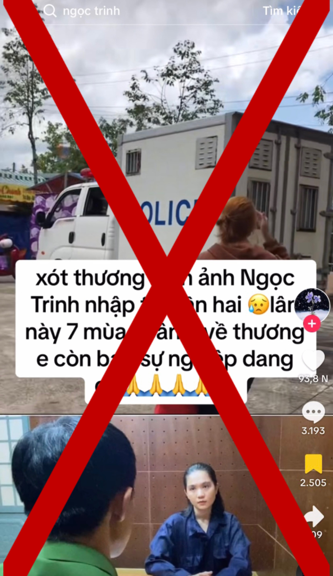 Clip giả Ngọc Trinh bị giải đến Toà án gây bức xúc - Ảnh 3.