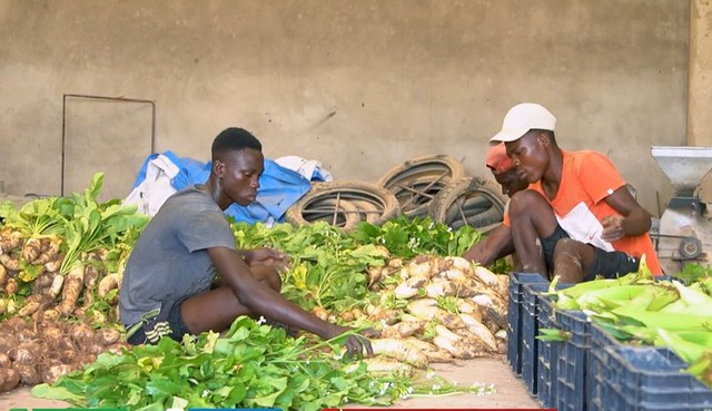 Nông trại Việt tại Angola bội thu đầu năm 3 loại rau củ người Trung Quốc thích mê, tranh nhau mua - Ảnh 7.