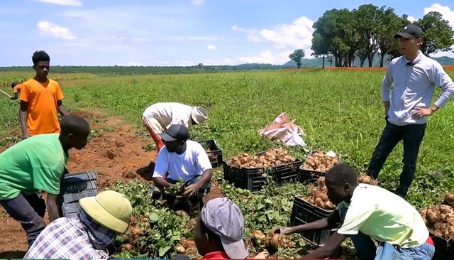 Nông trại Việt tại Angola bội thu đầu năm 3 loại rau củ người Trung Quốc thích mê, tranh nhau mua - Ảnh 4.