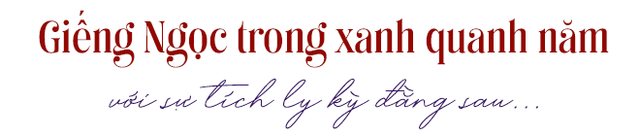 Hàng nghìn người đến một ngôi đền dịp đầu năm, múc nước giếng để uống và rửa tay: Sự thật đằng sau là gì? - Ảnh 4.