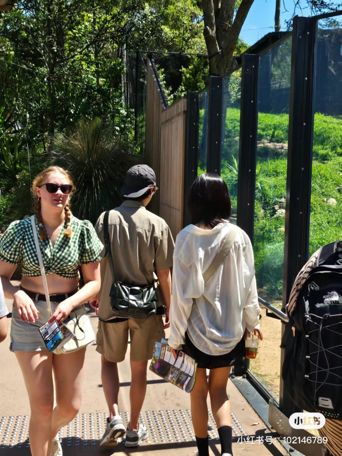 View - Bất ngờ chưa: Taylor Swift - Travis Kelce và Sooyoung - Jung Kyung Ho cùng hẹn hò ở Vườn thú Sydney, "vùng đất tình yêu" là đây sao?