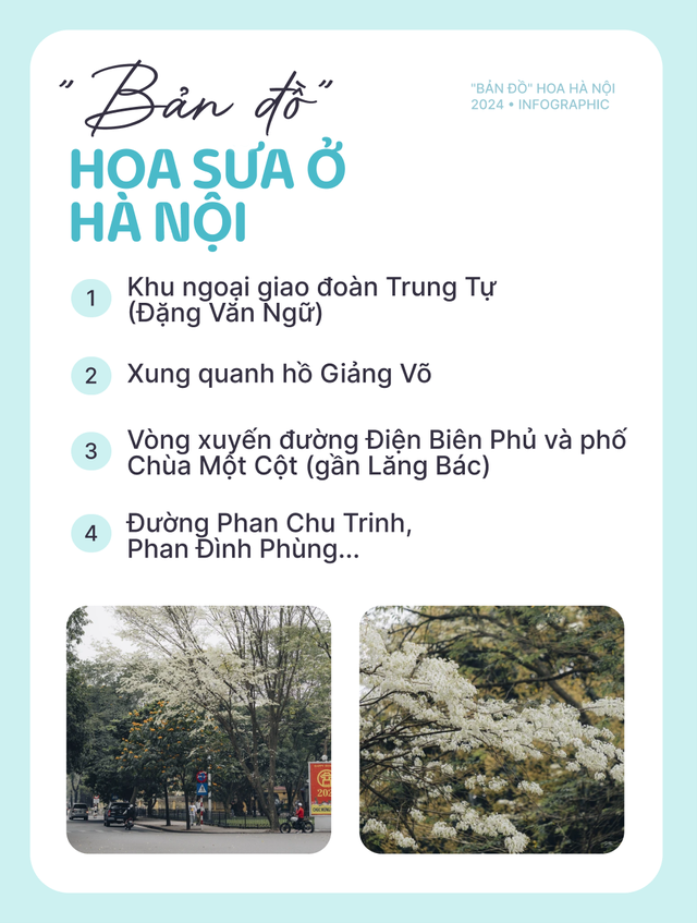 Có thể bạn thừa biết: Hà Nội mùa này hoa nở ngập lối nhưng chụp ảnh ở đâu cho đẹp? - Ảnh 3.