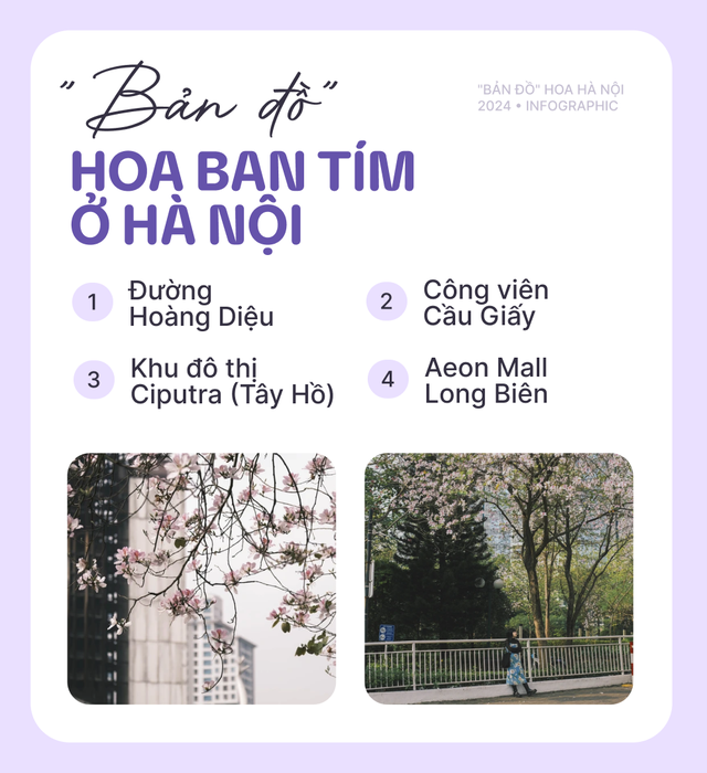 Có thể bạn thừa biết: Hà Nội mùa này hoa nở ngập lối nhưng chụp ảnh ở đâu cho đẹp? - Ảnh 1.