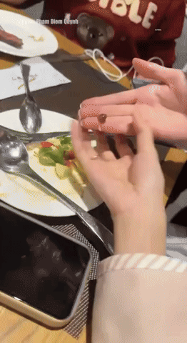 Vào nhà hàng nổi tiếng, cô gái sốc nặng khi phát hiện thứ kỳ lạ trong salad: là đệ nhất ẩm thực Pháp nhưng ở Việt Nam thì... lạ lắm - Ảnh 2.