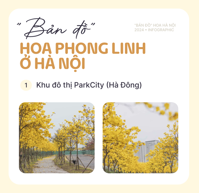 Có thể bạn thừa biết: Hà Nội mùa này hoa nở ngập lối nhưng chụp ảnh ở đâu cho đẹp? - Ảnh 5.