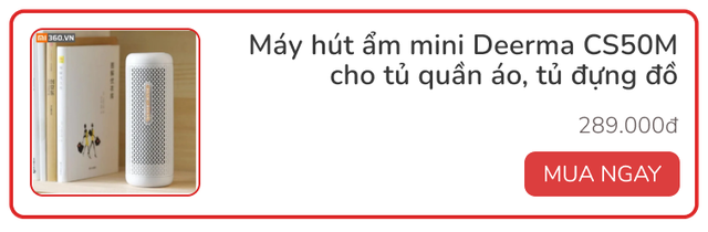 Mới 2 tháng đầu năm đã nồm ẩm liên miên, kiểm tra ngay xem những vị trí này trong nhà đã lên mốc chưa - Ảnh 11.