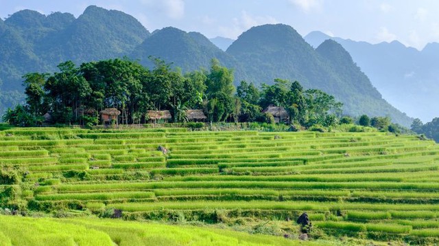 Báo quốc tế gợi ý 5 điểm đến gắn liền với du lịch bền vững ở Việt Nam - Ảnh 2.