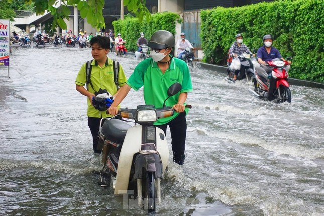 Nam Bộ đón Tết trong thời tiết rất bất lợi - Ảnh 1.